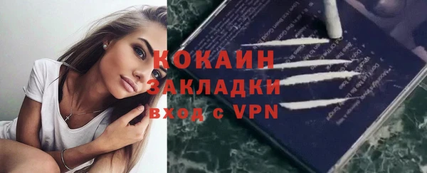 индика Билибино