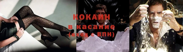 индика Билибино