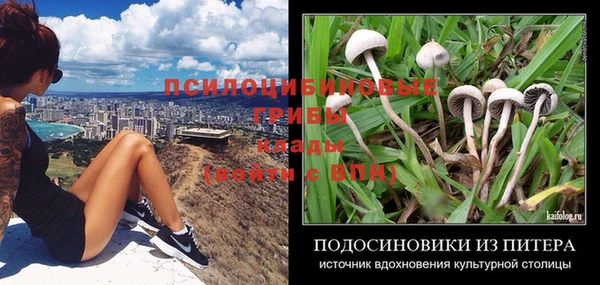 спиды Беслан