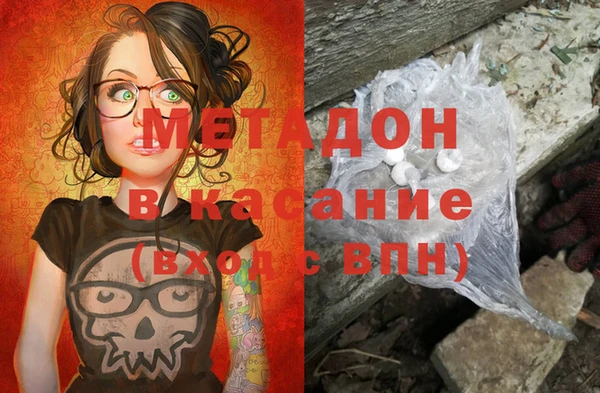 индика Вяземский