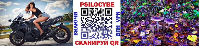 Псилоцибиновые грибы мицелий mega онион площадка состав Харовск